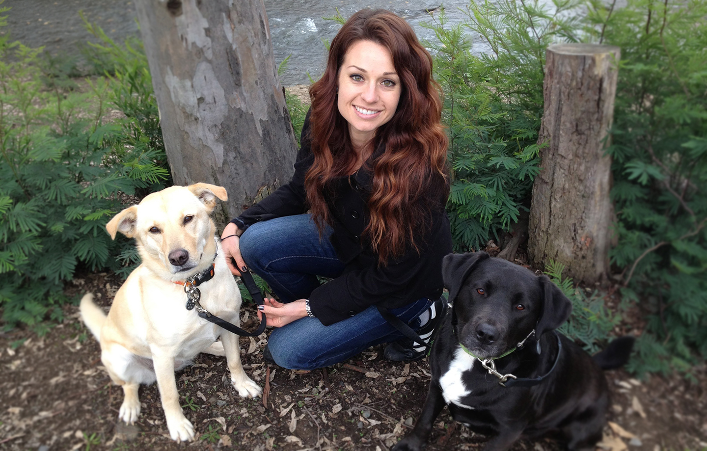 Smart Paws Private Training